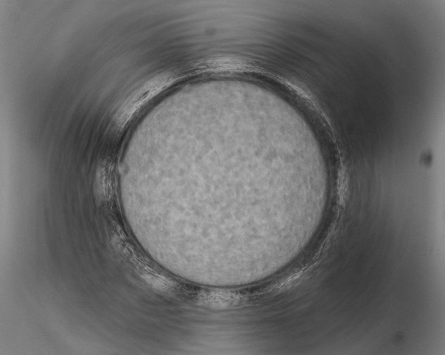 X0000115670873200912031354