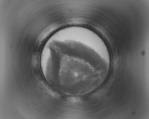 X0000115670874200912031354