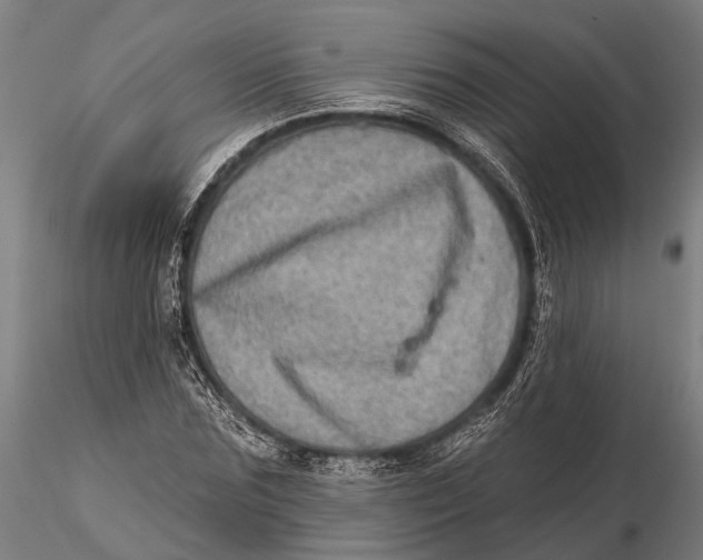 X0000115670875200912031354