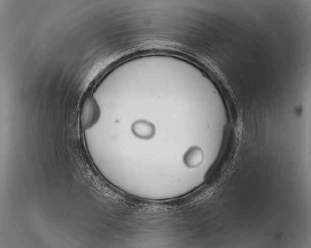 X0000115670877200912031354