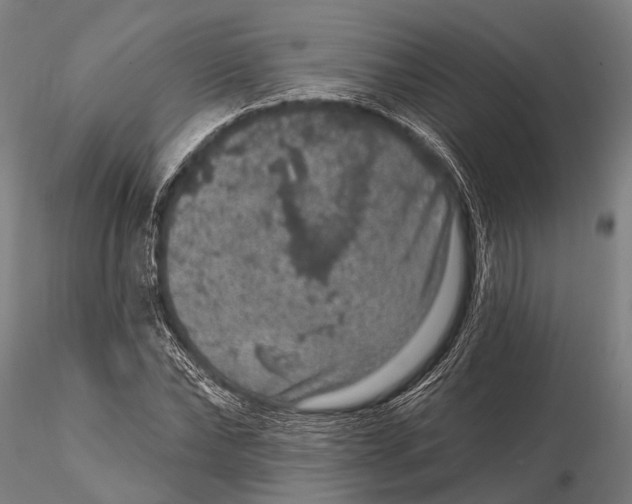 X0000115670878200912031354