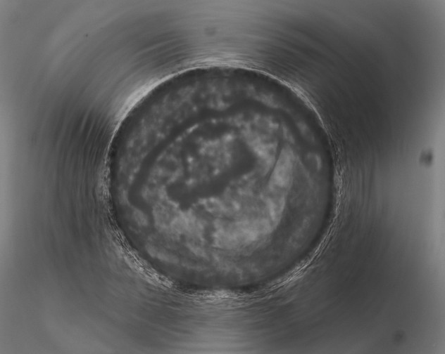 X0000115670879200912031354