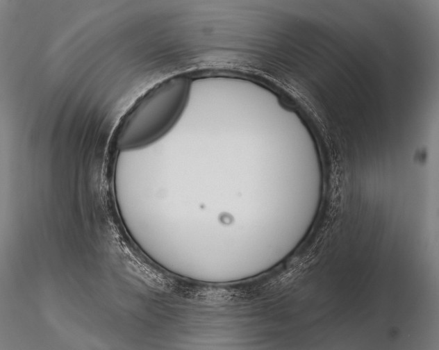 X0000115670880200912031354