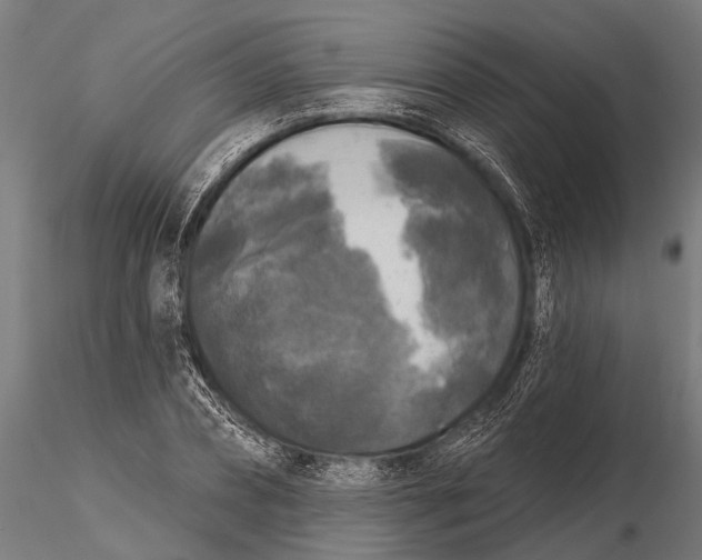 X0000115670882200912031354