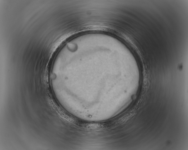 X0000115670883200912031354