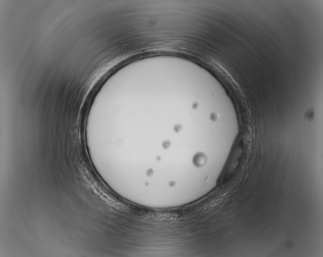 X0000115670884200912031354