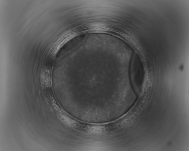 X0000115670889200912031353