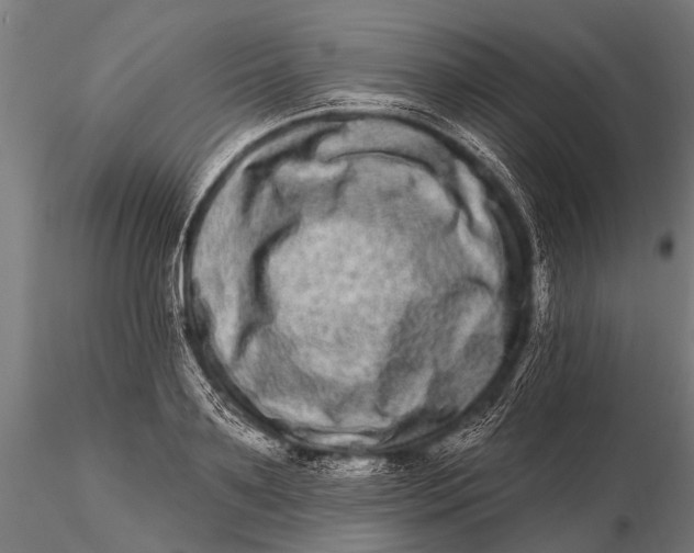 X0000115670891200912031353