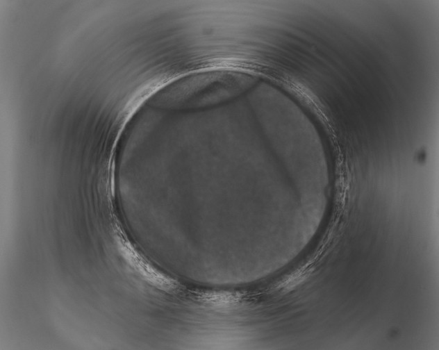 X0000115670892200912031353