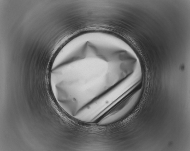 X0000115670893200912031353