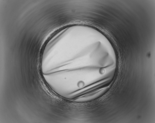 X0000115670896200912031353