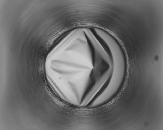 X0000115670897200912031353