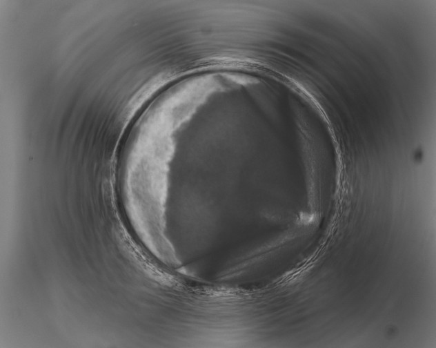 X0000115670899200912031353