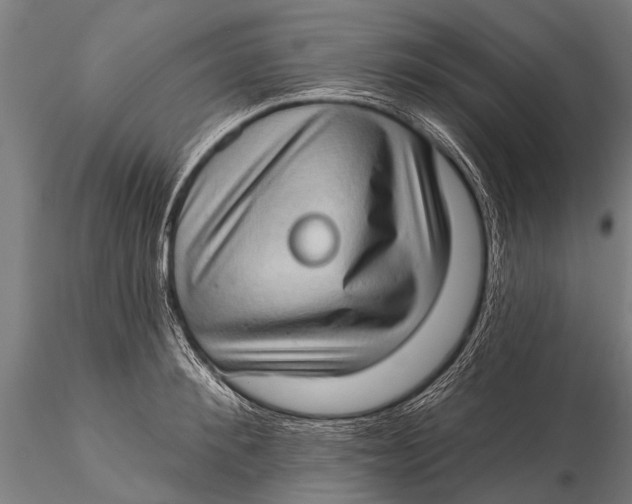 X0000115670900200912031353