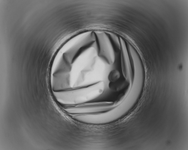 X0000115670901200912031353