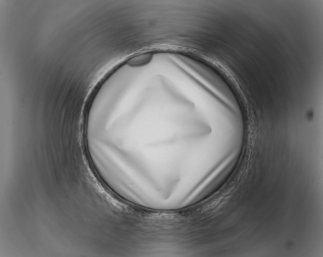 X0000115670902200912031353