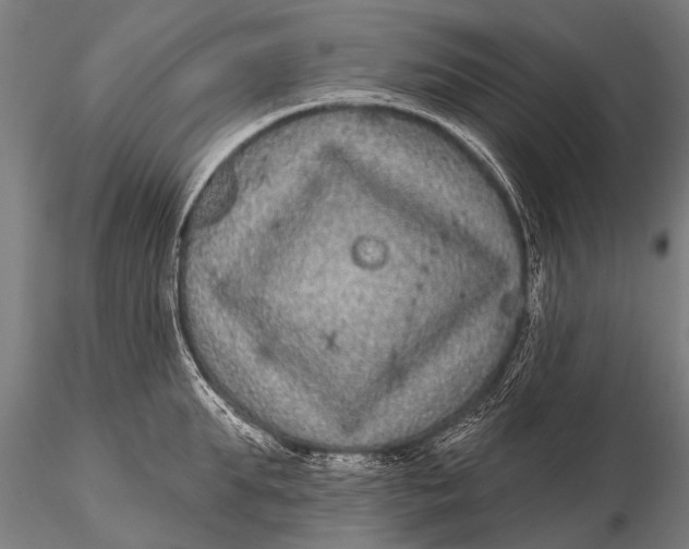 X0000115670903200912031353