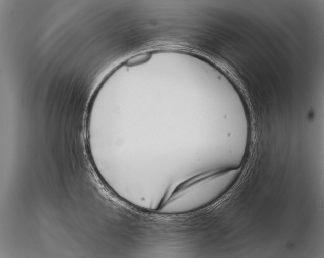 X0000115670904200912031353