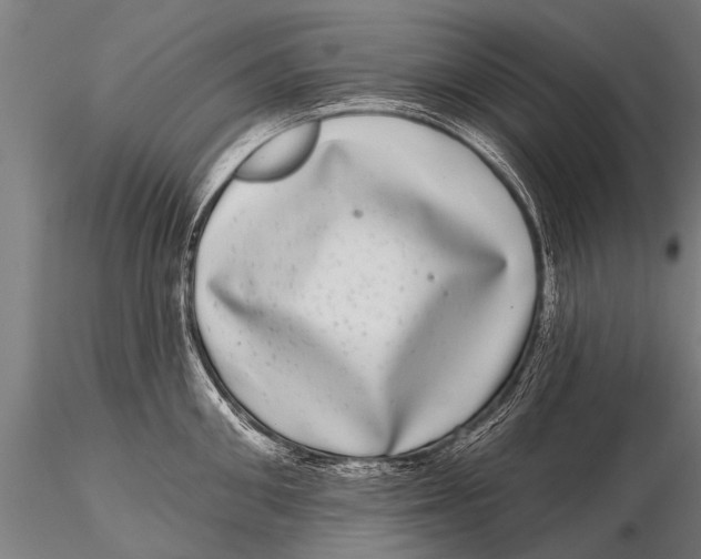 X0000115670906200912031353