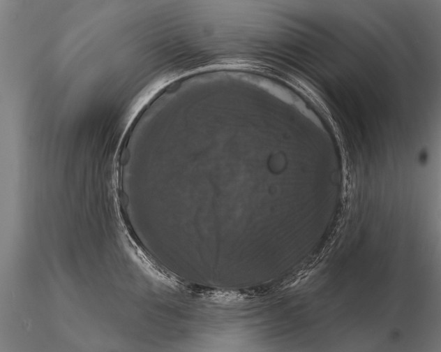 X0000115670907200912031353