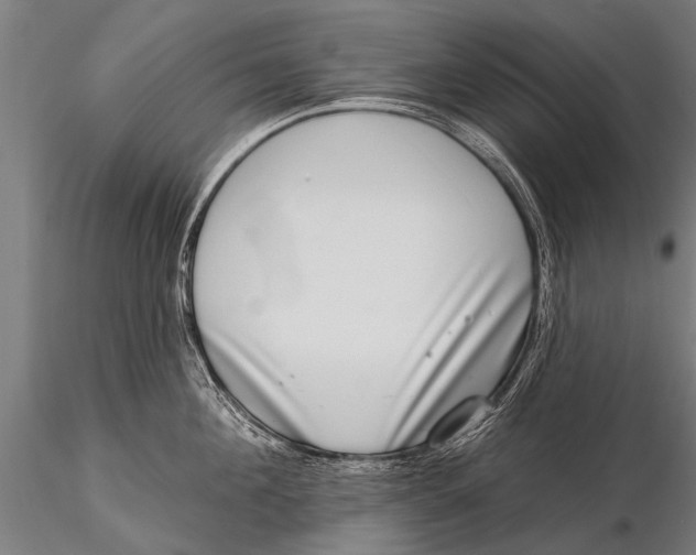 X0000115670908200912031353