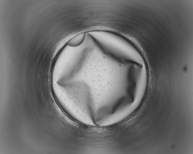 X0000115670910200912031353