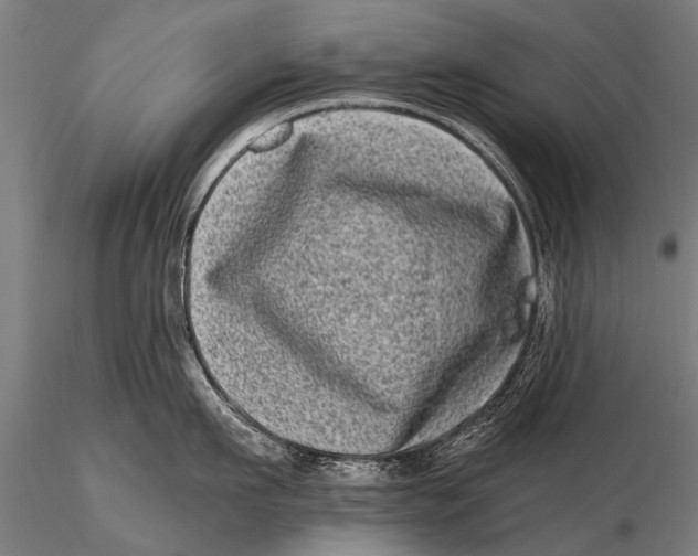 X0000115670911200912031353