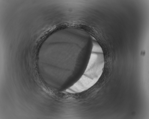 X0000115670913200912031352