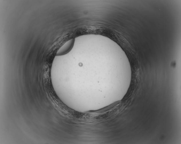 X0000115670914200912031352