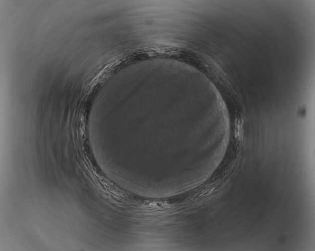 X0000115670915200912031352