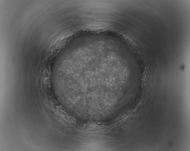 X0000115670917200912031352