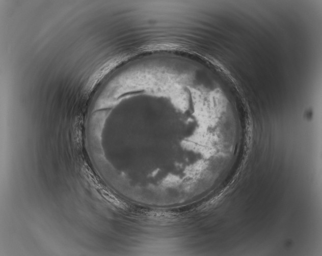 X0000115670921200912031352