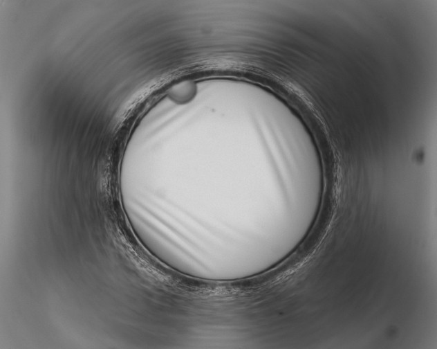 X0000115670922200912031352