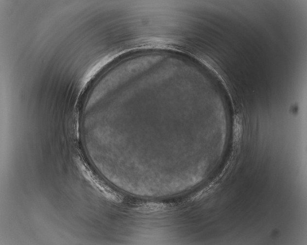 X0000115670925200912031352