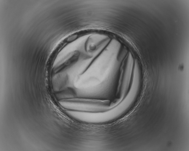 X0000115670926200912031352