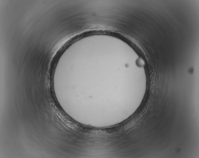 X0000115670927200912031352