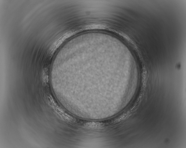 X0000115670929200912031353