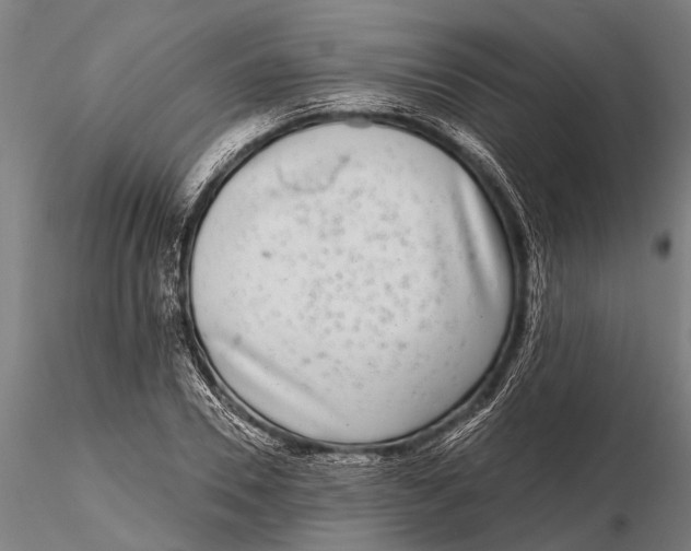 X0000115670930200912031353