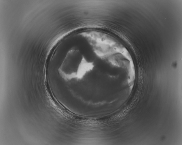 X0000115670935200912031353