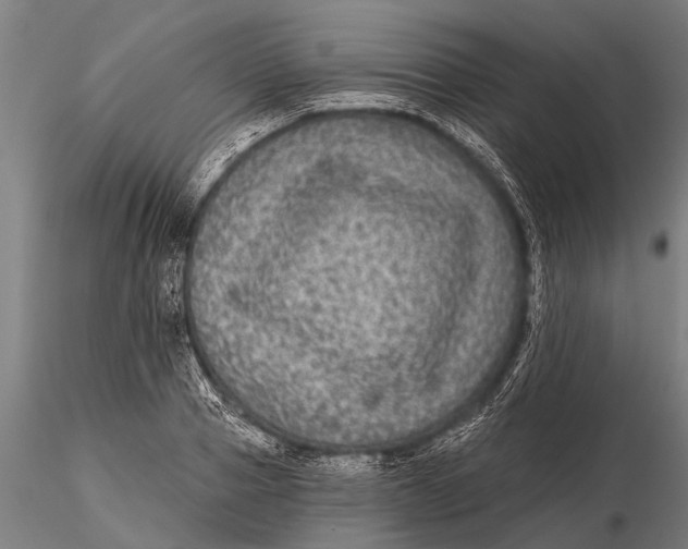 X0000115670937200912031353