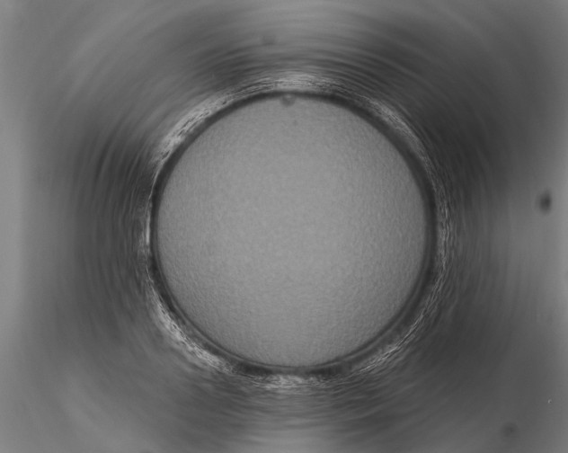 X0000115670938200912031353