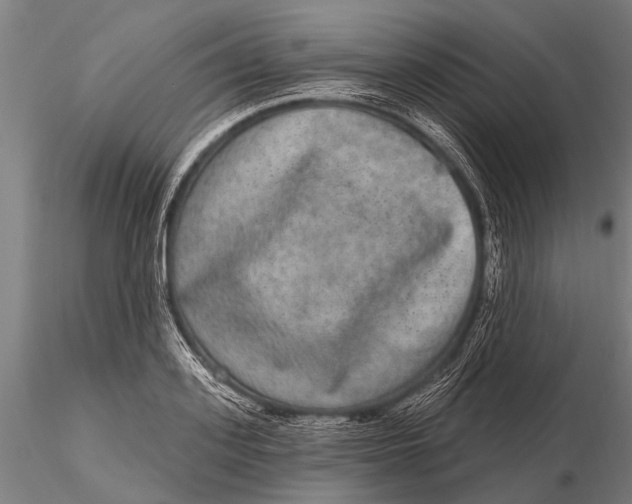 X0000115670939200912031353