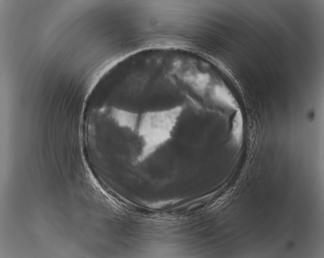 X0000115670943200912031353