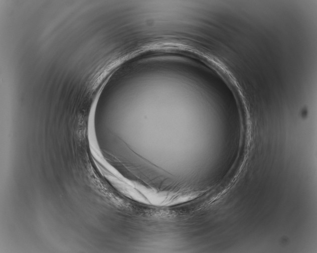 X0000115670945200912031353