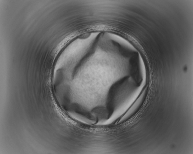 X0000115670946200912031353