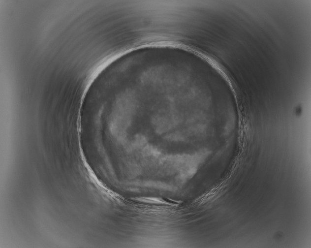 X0000115670951200912031353