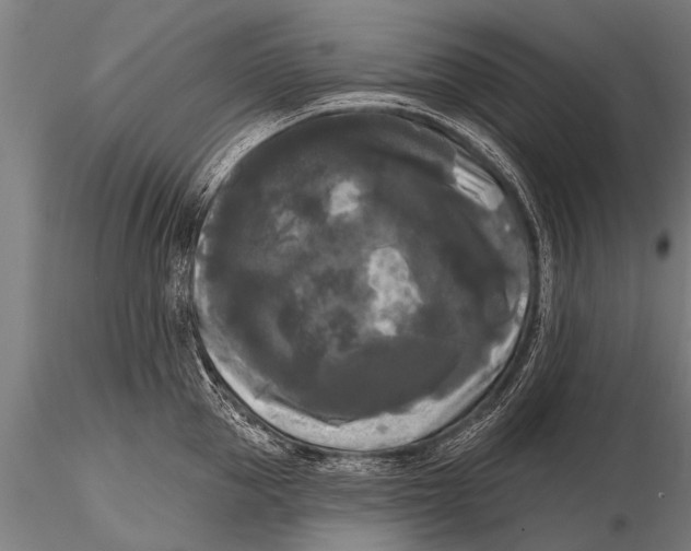 X0000115670953200912031353