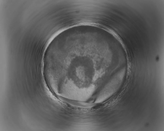 X0000115670955200912031353