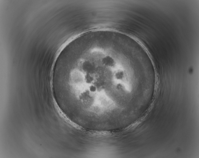 X0000115670957200912031353