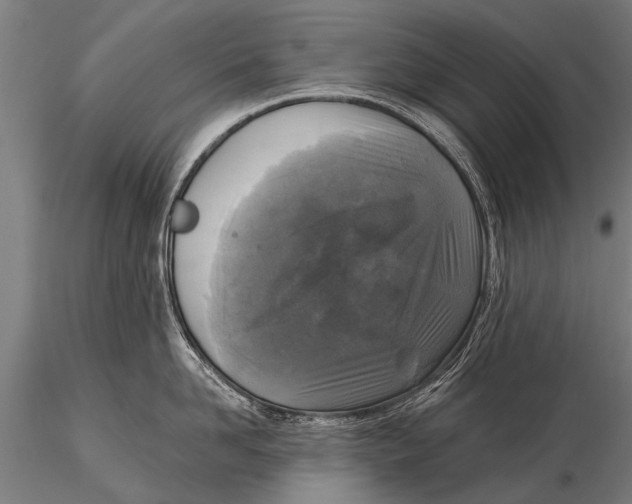 X0000115670958200912031353